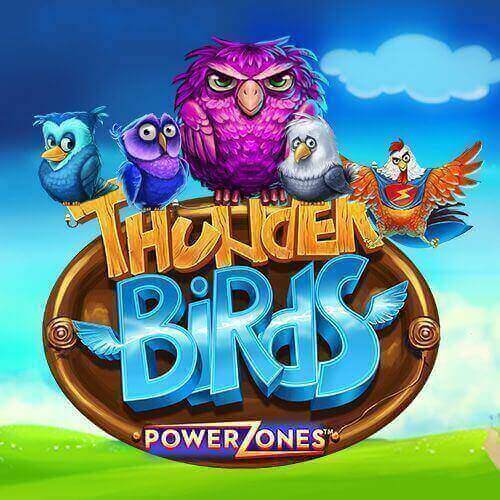 Power Zones Thunder Birds